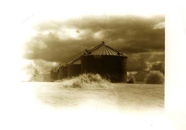 Convination of original Black and White Photo and color Photos